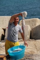 ピースボート イタリア バーリ