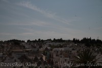 ピースボート イタリア アルベロベット