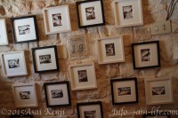 ピースボート イタリア アルベロベット